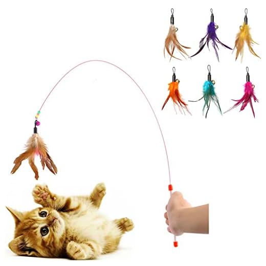 Kattenhengel: Waarom jouw kat er dol op is. 20x de Beste 7 Diawell kattenhengel met bel hengel voor katten kattenspeelgoed kattenspeelgoed kattenspeelgoed, Angel + 6 reserveveer.