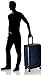 Victorinox Spectra 2.0 Hardside Spinner Suitcase, Navy, Checked-Large (30