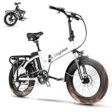 【Electric bike 1000w (Peak1500W) high speed brushless motor and 7-speed transmission, making steep hills and long rides a breeze, up to 30+MPH, up to 60+ Miles, EUYBIKE Long-range e-bike offers perfect efficiency and balance of power to ensure your r...