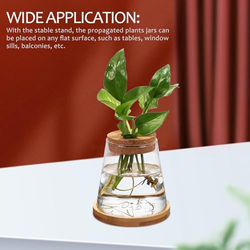 Botellas de vidrio para cultivo hidropónico que evitan manchas de tierra 7