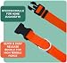 DEY - Premium Hundehalsband Air Mesh | Verstellbar | für Kleine, Mittelgroße u. Große Hunde | viele Farben u. Größen | Halsband Hund Katzen | Hunde-Halsbänder | Welpen-Halsband | Orange, S