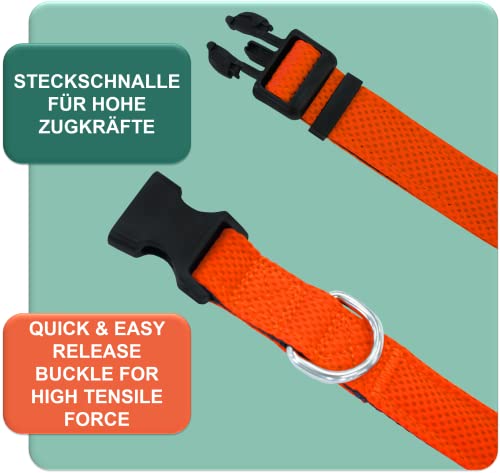 DEY - Premium Hundehalsband Air Mesh | Verstellbar | für Kleine, Mittelgroße u. Große Hunde | viele Farben u. Größen | Halsband Hund Katzen | Hunde-Halsbänder | Welpen-Halsband | Orange, S