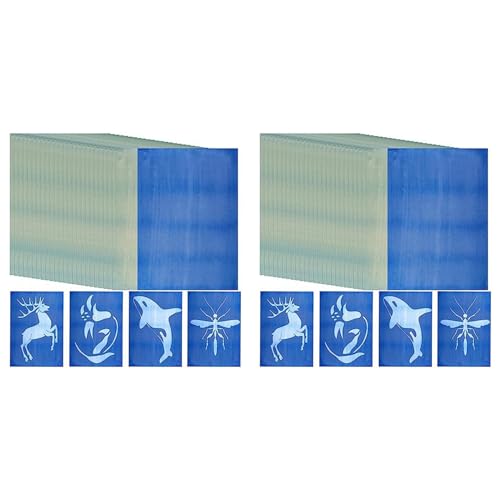 Kit papier cyanotype A4 sensible au soleil pour empreintes végétales