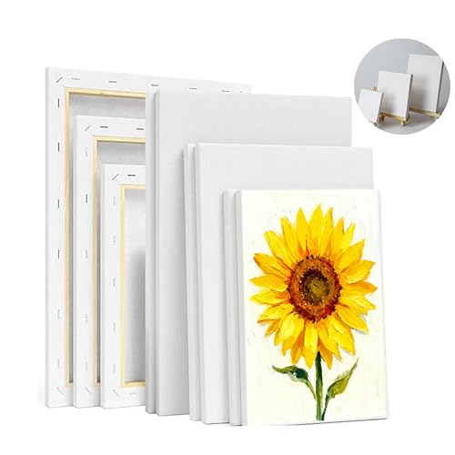 Stretched White Blank Canvas 100% Cotton Artist Canvas Boards For Painting Wood Painting Panel Boards For DIY Drawing Acrylic Pouring Oil Paint Dry & Watercolor (Pack of 6)