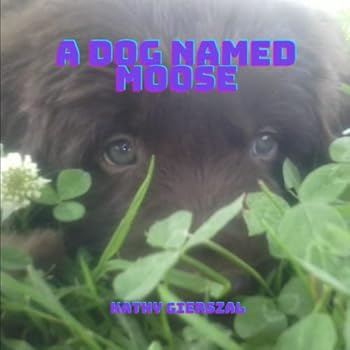 Paperback A Dog Named Moose Book