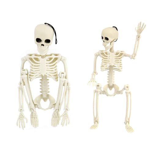 2 PCS 15.7 Posable Halloween Full Body Skeleton Decor with Movable Joints