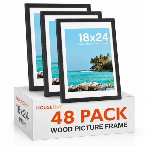 Image of HOUSE DAY 48 Pack Poster Frames 18 x 24 Wood and Polished Plexiglass 18x24 Frame without Mat or 16x20 with Mat, Horizontal or Vertical Wall Mounting