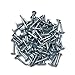 Magnetic Roof Shingle Tool RAYDOTOL Roof Shingle Nail Puller Heavy Duty Roof Shingle Nail Installer and Puller for Roof Shingles Repair with 100 pcs 1 inch Shingle Nails （Silver Nail）