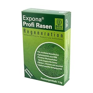 Expona Professioneel gazon, voor het opfrissen van zaaien en bijzaaien, RSM 3.2, snelle kieming, dicht en sappig gazon…