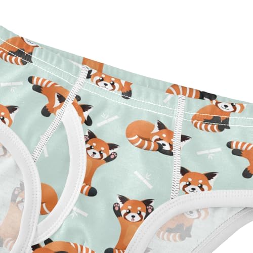 Boys' Exclusive Briefs Toddler Underwear 95% Combed Cotton Boxerbriefs 2T Red Panda Pattern 24