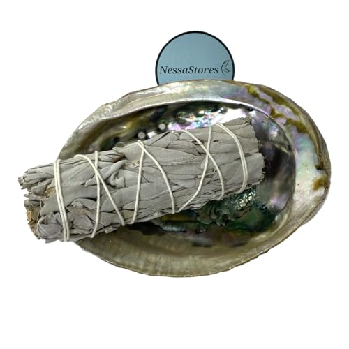 NessaStores 2 pc Sage Smudge Kit with 4