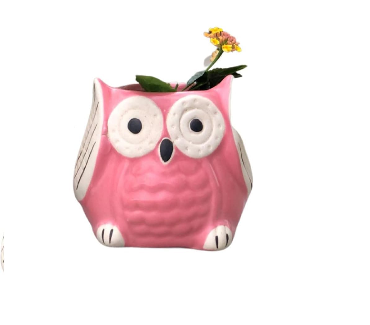 AKS Enterprises Ceramic Pots for Plant Owl Shape - Small Size (Pink Color, 9 cm) Ceramic Planters for Indoor Plants, Living Room. [Plant Not Included, Pack of 1] (B0CVDZN16N) Amazon Price History, Amazon Price Tracker