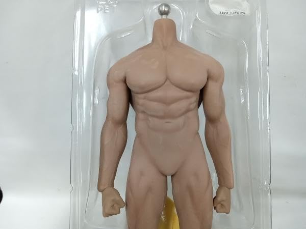 1/6 男性フィギュア 用 新商品【TBLeague】シームレス 素体 スーパー