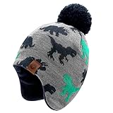 Duoyeree Kids Beanie Hat for Boys Girls Pom-pom Kint Hats Cozy Lining Winter Skull Cap,Dinosaur, 2T-