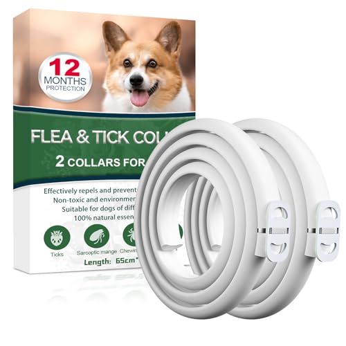 Collar Antiparasitario Perros, Seguro y Eficaz Collares Antiparasitos Perros, 12 Meses de Eficacia Collar Antipulgas Perro de 65 cm para Perro Pequeños, Medianos y Grandes (65cm*2)
