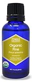 Zongle USDA Certified Organic Pine Essential Oil, Bulgaria, Pinus Sylvestris, 1 oz