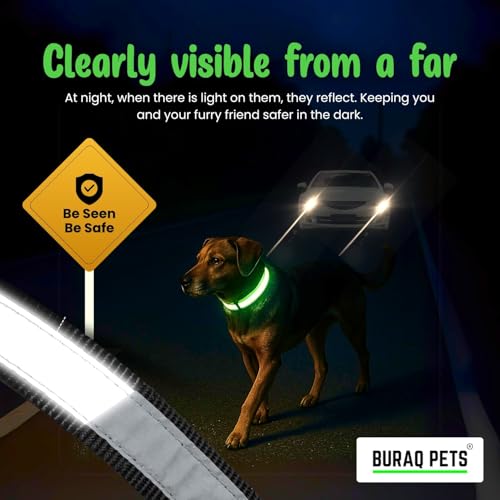 Image of Buraq Pets Reflective Dog Collar Adjustable Nylon with Metal D Ring