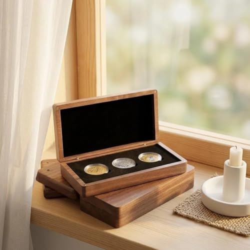 Caja de exhibición y soporte para monedas de dólar de plata en madera 6
