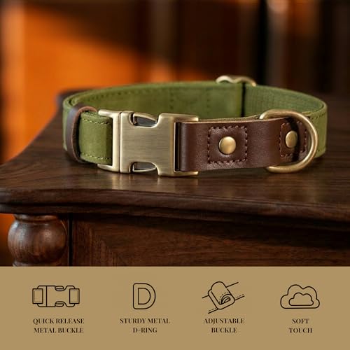 Image of Didog PU Leather Dog Collar for Medium Dogs, Soft Nylon Lining,OliveGreen M