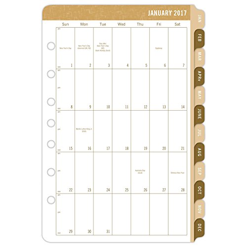 Télécharger Day-timer Agenda journalier recharge Calendrier 2017, DE deux pages par jour, 5–1/2 x 8–1/5,1  PDF