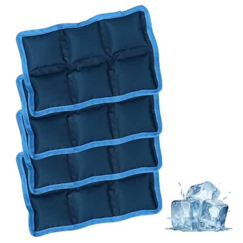 Lyreh 4uds Bolsas Hielo Reutilizables, Poliéster de Larga Duración Caja Almuerzo Bolsa Hielo Ideales para Aventuras Pesca Camping Escalada Actividades Al Aire Libre (Azul)