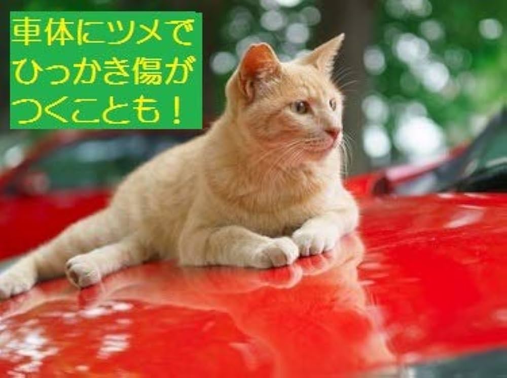 猫 予約受付】1/64 2025 No.48 Datsumou K's Frontier GO & FUN