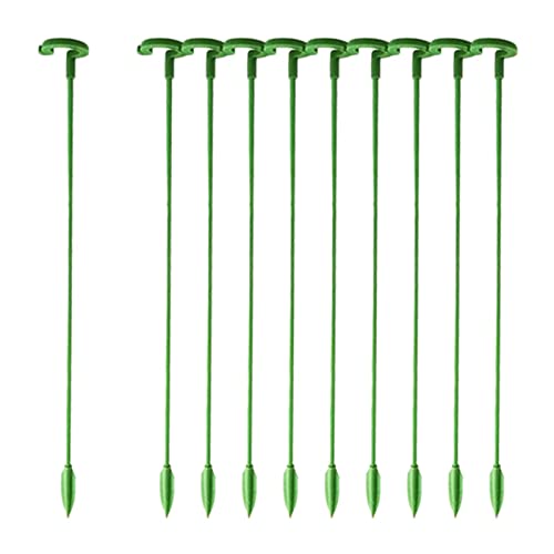 Estacas para plantas internas | 10 varetas plantas flor haste única | planta flor haste única para f