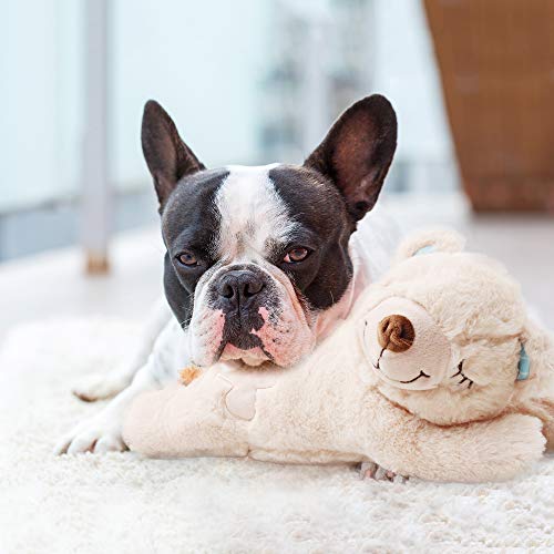 Pet Prime Kuscheltier für Hunde, Welpenspielzeug Hunde Herzschlag Plüschtier Welpe Verhaltenshilfe Plüschtier - Plüschbär