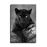 Decoración: moderno. ¡Realmente llamativo! Ideal para todos los diseños gráficos y fotográficos modernos. Tu pared o habitación obtiene una ligereza y belleza muy especiales.