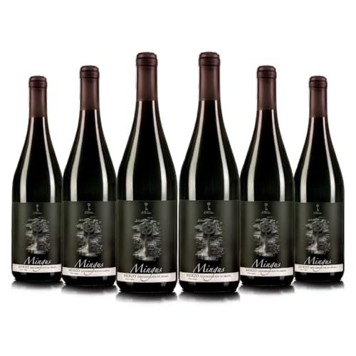 Mingus D.O del Bierzo, Vino tinto joven - Caja de 6 botellas x 750ml