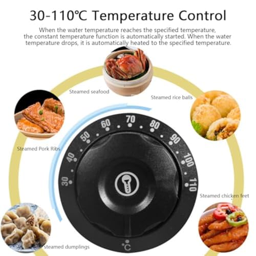 Cuiseur vapeur électrique à 2 trous pour buffet avec température réglable de 30 à 110 ℃
