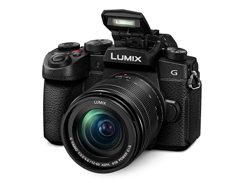 Panasonic LUMIX G97 Compact Hybrid Micro Four Thirds Mirrorless Camera with LUMIX G Vario 12-60mm / F3.5-5.6 Lens, Designed for or Content Creators in Photo & Video, DC-G97MK9 - image 3