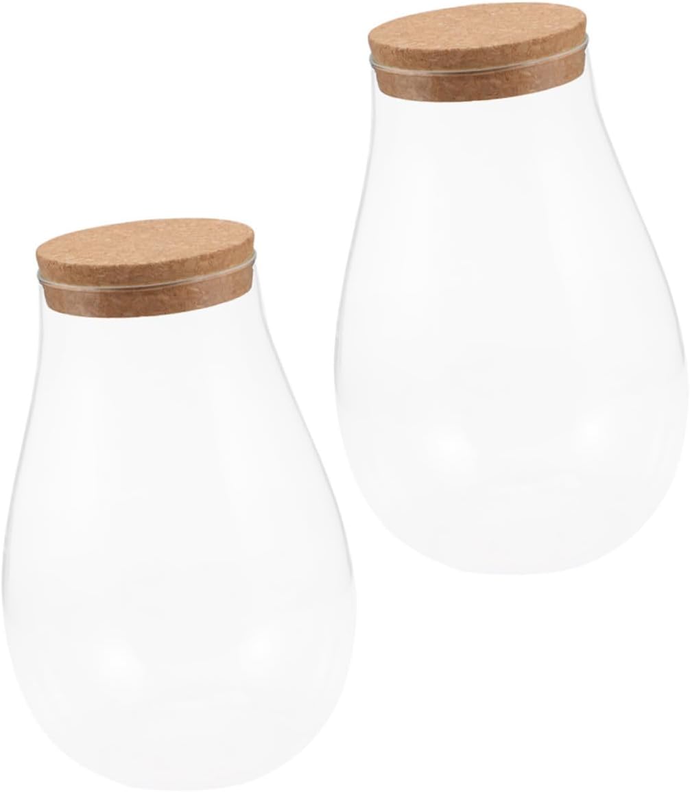 Sosoport 2pcs Moss Ecological Bottle Glass Terrarium Container for Diy Micro Landscape for Indoor Plants Home Decoration Includes Cork