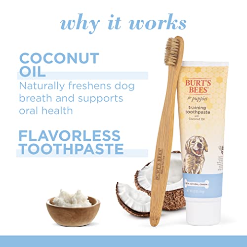 Burt's Bees For Pets Natural Oral Care Kit For Puppies, Flavorless, 2.5 Oz Tube And Bamboo Brush| Puppy Training Toothbrush And Toothpaste With Coconut Oil (2.5 Oz) #TOP1