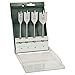 Bosch 2609255275 Set 4 Punte a Testa Piatta Legno, 16-22-25-32 mm, Codolo Esagonale