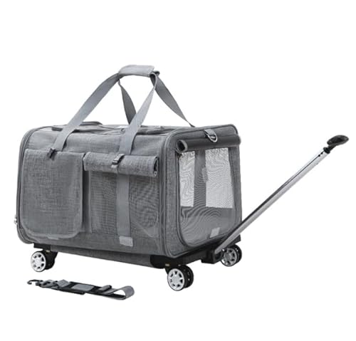 e ČL[ ybgLA L[obO pbN Lp Č{bNX ʋC LX^[t ̔яoh~ ^E^p LpobO v (_[NO[)