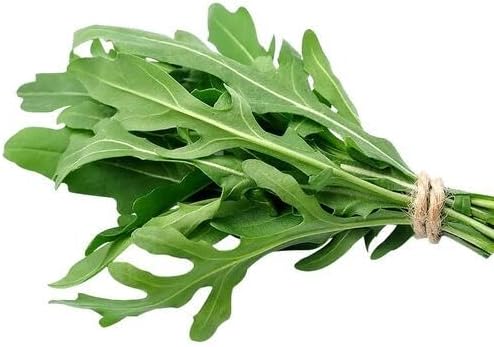 100pcs Green Arugula Vegetable Seeds
