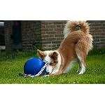 Jolly Pets Romp-n-Roll Rope and Ball Dog Toy, 8 Inches/Large, Blue, Model:608 BL