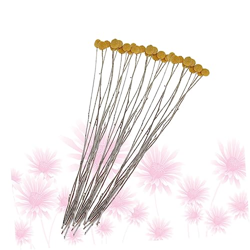 Ramo de flores secas estilo natural Craspedia 20 pcs miniatura 4