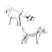 Produktbild Laimons Damen-Ohrstecker Hund glanz Sterling Silber 925