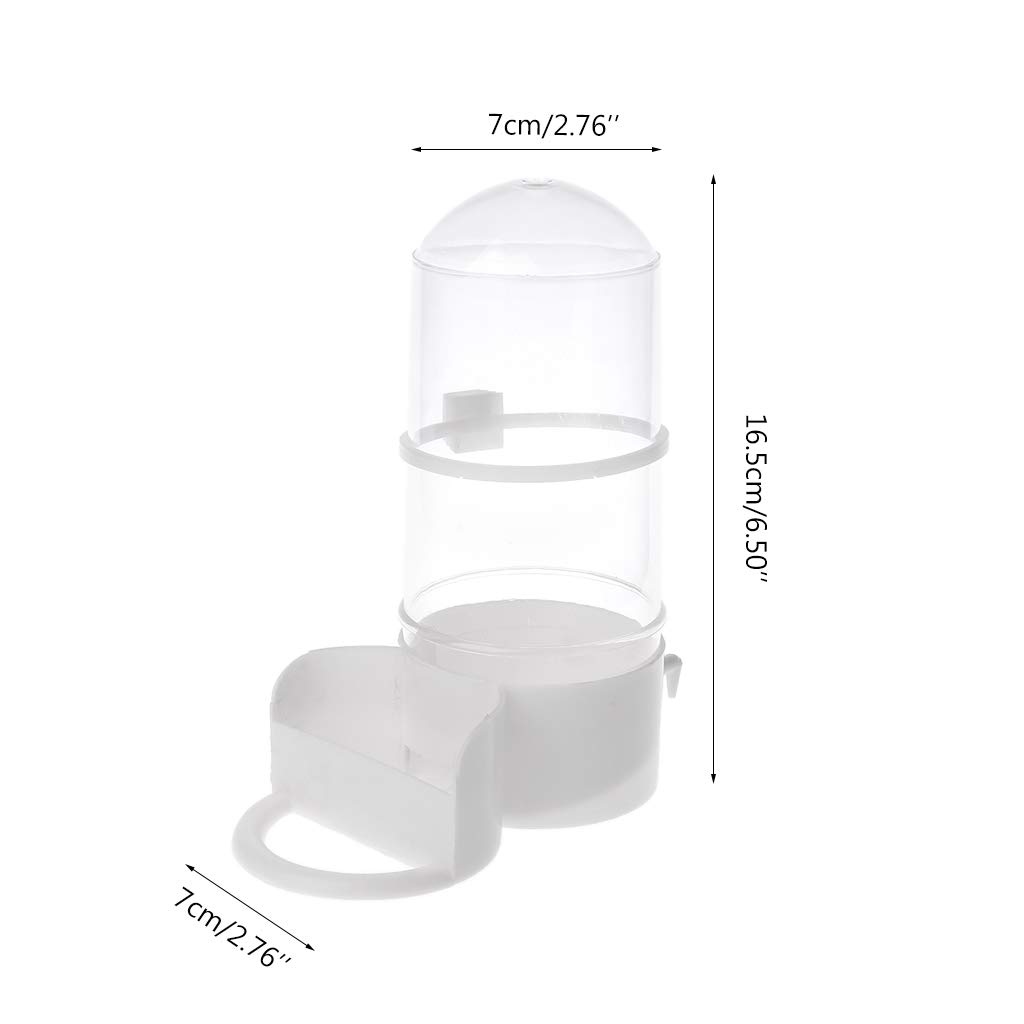 Mangiatoia Automatica Per Uccelli Con Dispensatore Acqua - Alimentatore Prattico Per Pappagalli E Uccellini - Foto 8