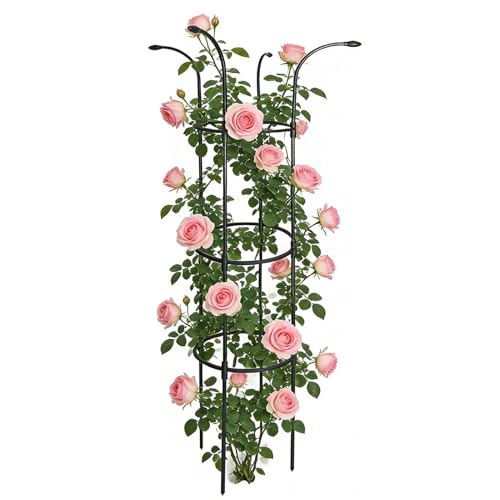 Treillis parapluie haut de gamme : structure stable et décorative en métal