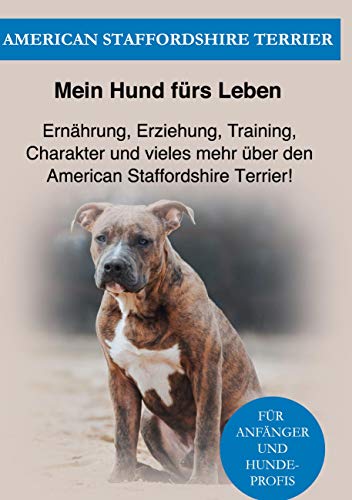 Amstaff: Ernährung, Erziehung, Pflege, Training und vieles mehr über den American Staffordshire Terrier!