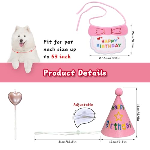 Set cumpleaños perro: Gorro y babero talla grande rosa miniatura 2
