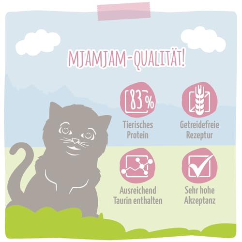 MjAMjAM- Premium Trockenfutter für Katzen- Knusprige Mahlzeiten- Kitten- Frisches Geflügelfleisch, 1er Pack (1x300g), getreidefrei-4