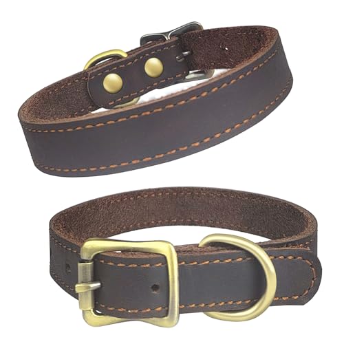 Qianruida Collare per Cane in Pelle Collari Cuoio Genuino Regolabile per Cani di Piccola Taglia Media Taglia Grande ed Extra Grande - S