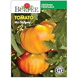 Burpee 'Mr. Stripey' Heirloom Tomato Seeds - Non-GMO, Indeterminate, Heirloom, Beefsteak Slicing Tomato, 30mg Seed Packet for Home Garden