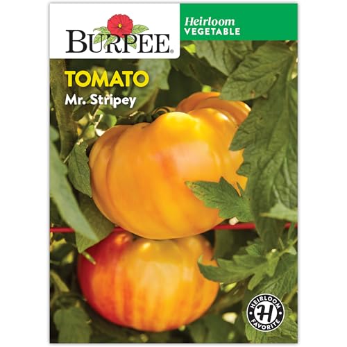 Burpee 'Mr. Stripey' Heirloom Tomato Seeds - Non-GMO, Indeterminate, Heirloom,