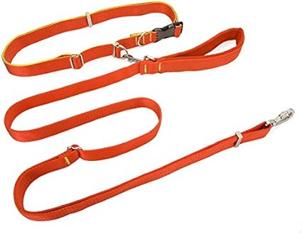 dog leads amazon uk
