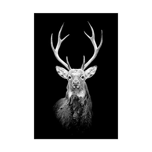 Toile cerf nordique noir et blanc 60x80 cm pour habiller un mur vide sans cadre